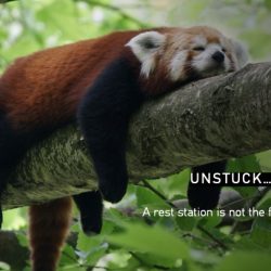 unstuck 2